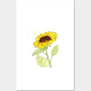 Big Bright Sunflower Posters and Art